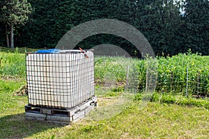 Square plastic water tank in the garden.rainwater recuperator baril photo