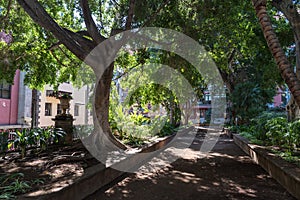 Square the Prince of Asturias, Santa Cruz de Tenerife. Spain