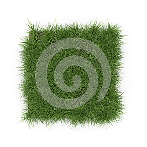 Square of Ryegrass Grass field over white. Top view. 3D illustration