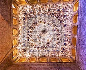 Square Shaped Ceiling Sala de los Reyes Alhambra Granada Spain