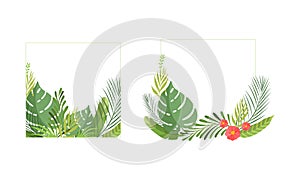 Square Shaped Frame with Green Tropical Leaves and Jungle Foliage Vector Set