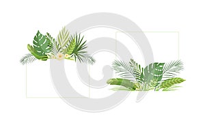 Square Shaped Frame with Green Tropical Leaves and Jungle Foliage Vector Set