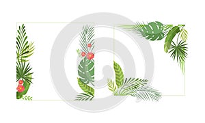 Square Shaped Frame with Green Tropical Leaves and Jungle Foliage Vector Set