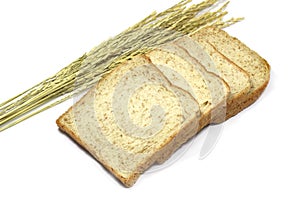 Square slice of fresh whole grain meal bread. Detailed bread texture with ears