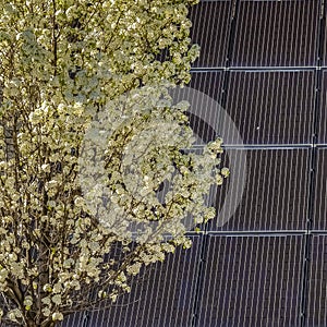 Square Solar panel on the dark pitched roof of a house against blue sky on a sunny day