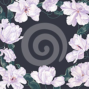 Square spring frame banner with white tulips on dark background, space for text.
