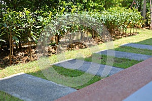 Square stone block walkway laying on green grass decorated in garden photo