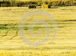 Square straw bales in stubbly field in the region of Andalusia, photo