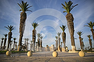 Square with tall palm in Tunisia, Sousse