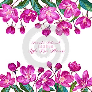 Square template with pink apple blossoms and green leaves. Vector spring flowers in realistic hand-drawn style.