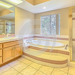 Square Vanity and built in bathtub of a bathroom with view of trees through the window