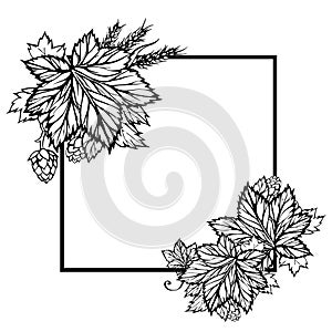 Square vector black and white frame with hop and wheat