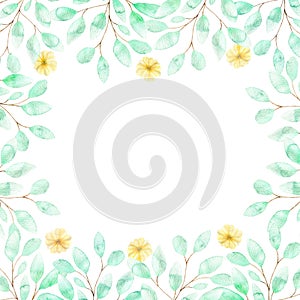 A square watercolor frame with soft yellow flowers and twigs of green leaves, a composition of summer flowers on a white