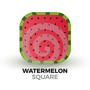 Square watermelon vector