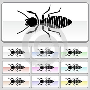 Square web buttons - Termite