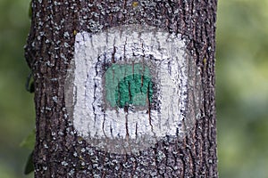 Square white flag of woodsman on the tree