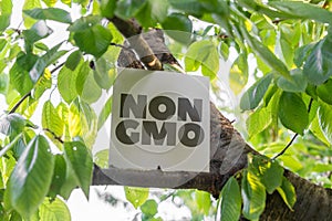 square white frame with non gmo text concept on the farms