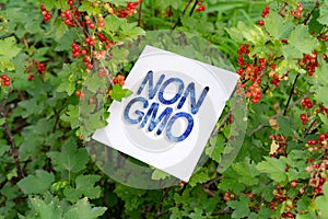 square white frame with non gmo text concept on the farms