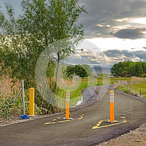 Square Yellow traffic delineator posts on a road with view of trees and mountain