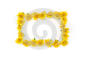 Square yellow Wedelia flowers wreath