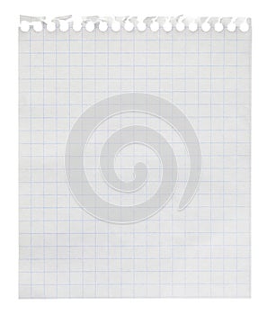 Squared paper loose-leaf note sheet