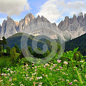 Squared shot of italian Alps in Dolomites
