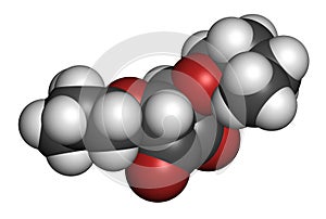 Squaric acid dibutyl ester drug molecule. 3D rendering. Atoms are represented as spheres with conventional color coding: hydrogen.