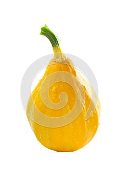 squash