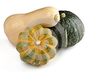 Squash