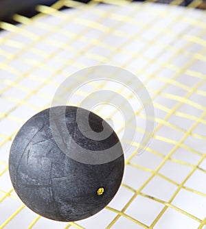 Squash ball