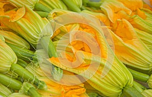 Squash Blossoms, Farmers Market