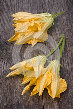 Squash blossoms or pumpkin flowers