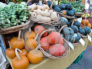 Squash at farmers market