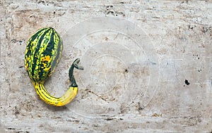 Squash of a freakish shape on the old metal surface