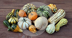 Squash gourd photo