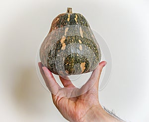 A squash on the hand with white background