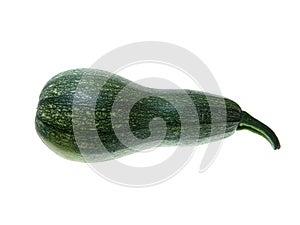 Squash isolated on white background