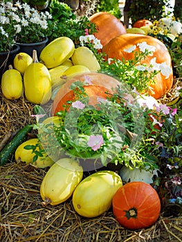 Squash and pumpkin next to flowers on hay