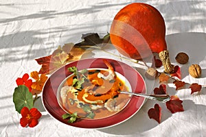 Squash soup