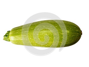 Squash (vegetable marrow) isolated on white background with clipping path. Closeup with no shadows. Vegetable. Food. Eating veg