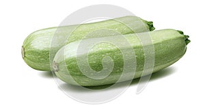 Squash vegetable marrow zucchini isolated 5 on white