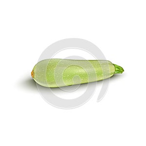 Squash vegetable marrow zucchini isolated on white