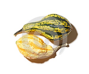 Squash vegetables