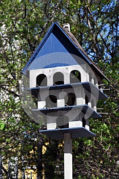 Squashbox. Caring for animals and birds, the problems of bird survival in the city