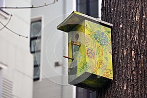 Squashbox. Caring for animals and birds, the problems of bird survival in the city