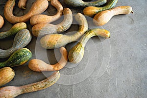 Squashes on the ground