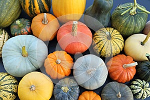 Squashes and pumpkins