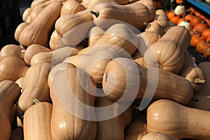 Squashs in a market, Montreal, Quebec, Canada