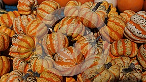 Squashs in a market, Montreal, Quebec, Canada