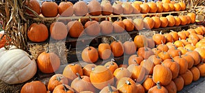 Squashs in a market, Montreal, Quebec, Canada photo